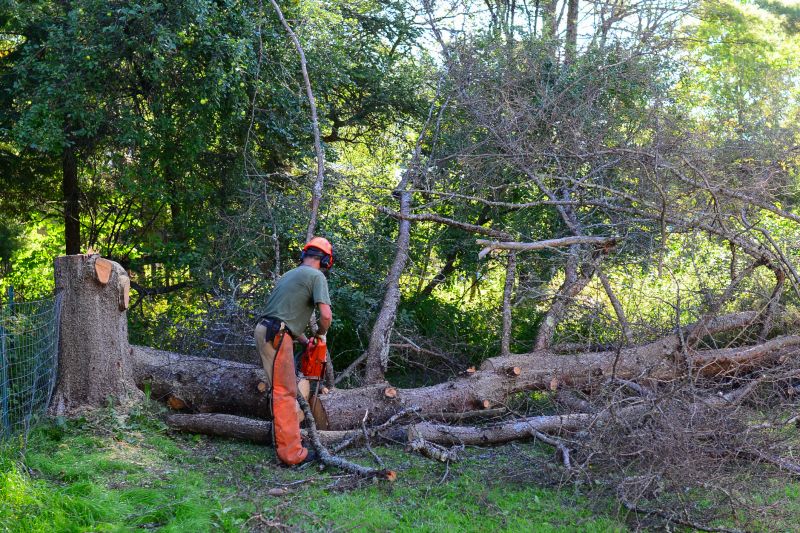 Tree Canopy Thinning detail